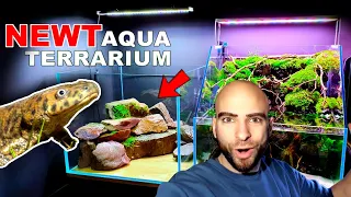 BUILDING A NEWT WATERFALL AQUATERRARIUM / PALUDARIUM || MD FISH TANKS