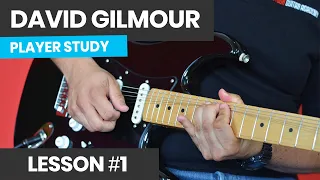 How To Play Like David Gilmour [Course Lesson 1] Epic Lead Guitar