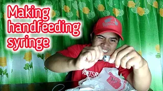 How to make handfeeding syringe #BIRD