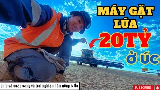 Review Máy Gặt Lúa Khổng Lồ 20tỷ ở Úc || Việc Nhẹ Lương Cao Khi Làm Nông Ở Úc