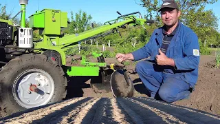 Turning potatoes with a Centaur walk-behind tractor