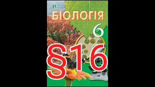 Параграф 16 "Твариноподібні одноклітинні організми"//Шкільна програма 6 клас.