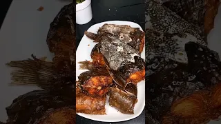 How to dry catfish, Air fryer method