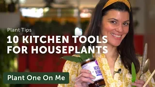 10 Kitchen Utensils That Make Great Houseplant Tools — Ep 168