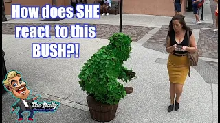 BUSHMAN PRANK!!  Does this BUSHMAN ever get scared?