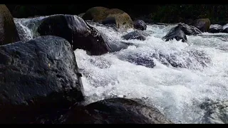 NATURAL RELAXATION. Water flows through the rocks . #relaxing #nature #calm