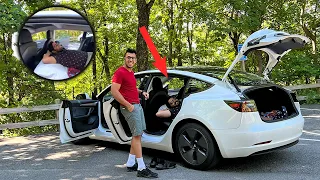 Last day with Hacker roommate! Camping on Tesla ⛺️