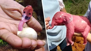 Вот Как Выглядят Новорожденные Детеныши Животных