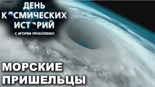 Космические истории с Игорем Прокопенко. Морские пришельцы