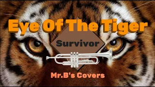 Eye of the Tiger (Trumpet Cover)
