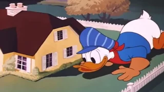 New Donald Duck Classic Cartoons Compilation || Best Chip And Dale, Donald Duck Out Of Scale