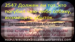 2547 Должен ли тот, кто погубил чью либо собаку, возмещать убыток