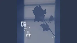 醒不来的梦