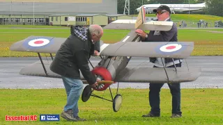 IMPRESSIVE LARGE SCALE WW1 SCOUTS and FIGHTERS !!! DAWN PATROL