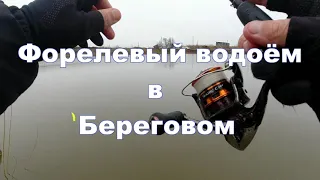 Форелевый водоём в Береговом