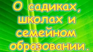 Семья Бровченко. Наши мысли по поводу школ, садиков и семейного образования. (05.16г.)