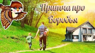 Притча про воробья или Любовь родителей