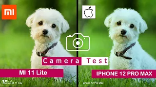 Mi 11 Lite vs Iphone 12 Pro Max | Camera Comparison |Camera Test | Tech Song |