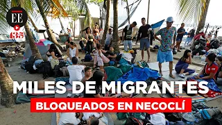 Crisis migratoria: 10.000 migrantes esperan en Colombia para cruzar el Darién rumbo a EE. UU.