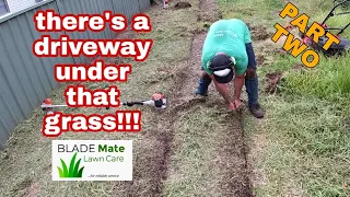 Tall grass cutting - Satisfying edging / overgrown cleanup PART TWO!