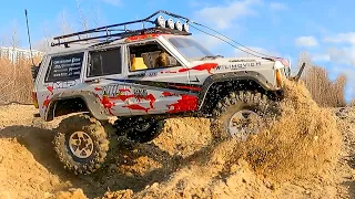 RC CARS 4x4 Sand Racing | Wilimovich Live