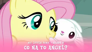 My Little Pony - Sezon 9 Odcinek 18 - Co na to Angel?