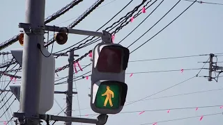 【音響信号(擬音式)】宮崎県延岡市構口町1丁目「南延岡駅」交差点