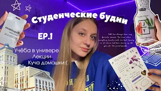 СТУДЕНЧЕСКИЕ БУДНИ // 1 курс ин.яза✨📚