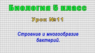 Биология 5 класс (Урок№11 - Строение и многообразие бактерий.)