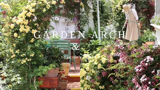 [Gardening] Beautiful scenery even in a small garden | The magic of garden arches💛 [Pink jasmine]