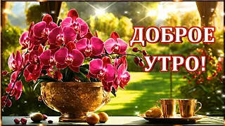 С ДОБРЫМ УТРОМ,🌹С НОВЫМ ДНЁМ, 🌹 УДАЧИ, УСПЕХА, ВЕЗЕНИЯ ВО ВСЁМ!🌹🌹🌹🌹🌹🌹🌹🌹🌹🌹🌹🌹🌹🌹🌹🌹🌹🌹🌹🌹🌹