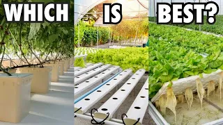 Which Hydroponic System Should You Choose?