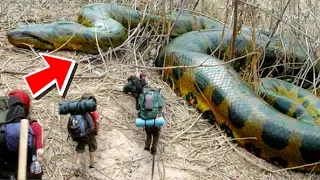 HUGE SNAKES AND ALLIGATORS MEET THE BOY SCOUTS!! | BRIAN BARCZYK