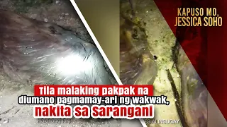 Pakpak ng Wakwak? | Kapuso Mo, Jessica Soho