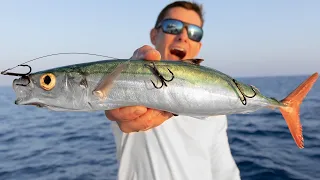 BIG Baits for Deep Sea GIANTS... Catch Clean Cook