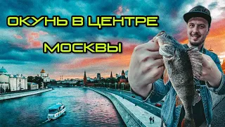 СТРИТФИШИНГ 2022 после запрета! Рыбалка в центре МОСКВЫ. Окунь на микроджиг.