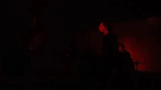 Собаки Табака - Новое Тело (live at Mosaique, St. Petersburg, Russia, 10.11.2018)