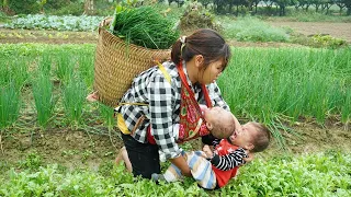 How can a single mother maintain the lives of two children? - Harvesting onion goes to market sell