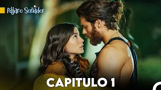 Pájaro soñador - Capitulo 1 (Audio Español - Larga Capitulo) | Erkenci Kuş