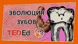 🔶 Как эволюционировали зубы? [TED-Ed на русском]