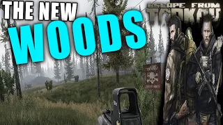 Learn The NEW WOODS EXPANSION - 5min // Escape from Tarkov Woods Map