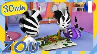 ZOU Compilation en français 🦓 L'herbier de Zou 🌿 Dessins animés