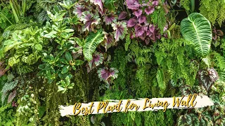 10 Best Plants for Living Wall 🎍🌿 Vertical Garden Plants