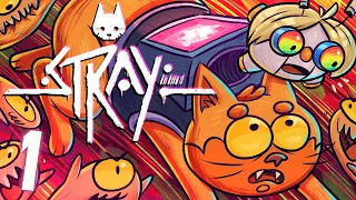 Jesse and Momma Cox Play: STRAY | Part 1