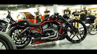 Custom Harley V-Rods at Auto Expo