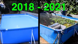 3 Year Pool Pond Transformation!