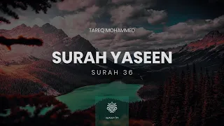 Surah Yaseen | #Qari_Tareq_Mohammed | سورة يس | القارئ طارق محمد Quran recitation