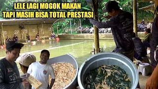 60% KOLAM DI SUKABUMI MELARANG UMPAN INI🚫