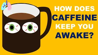 How does caffeine keep you awake?