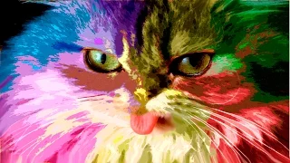 Смешные коты 17 (Funny Cats Compilation 2016)